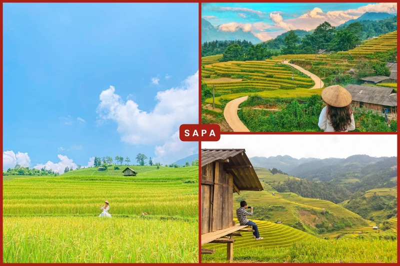 Los campos en terrazas de Sapa